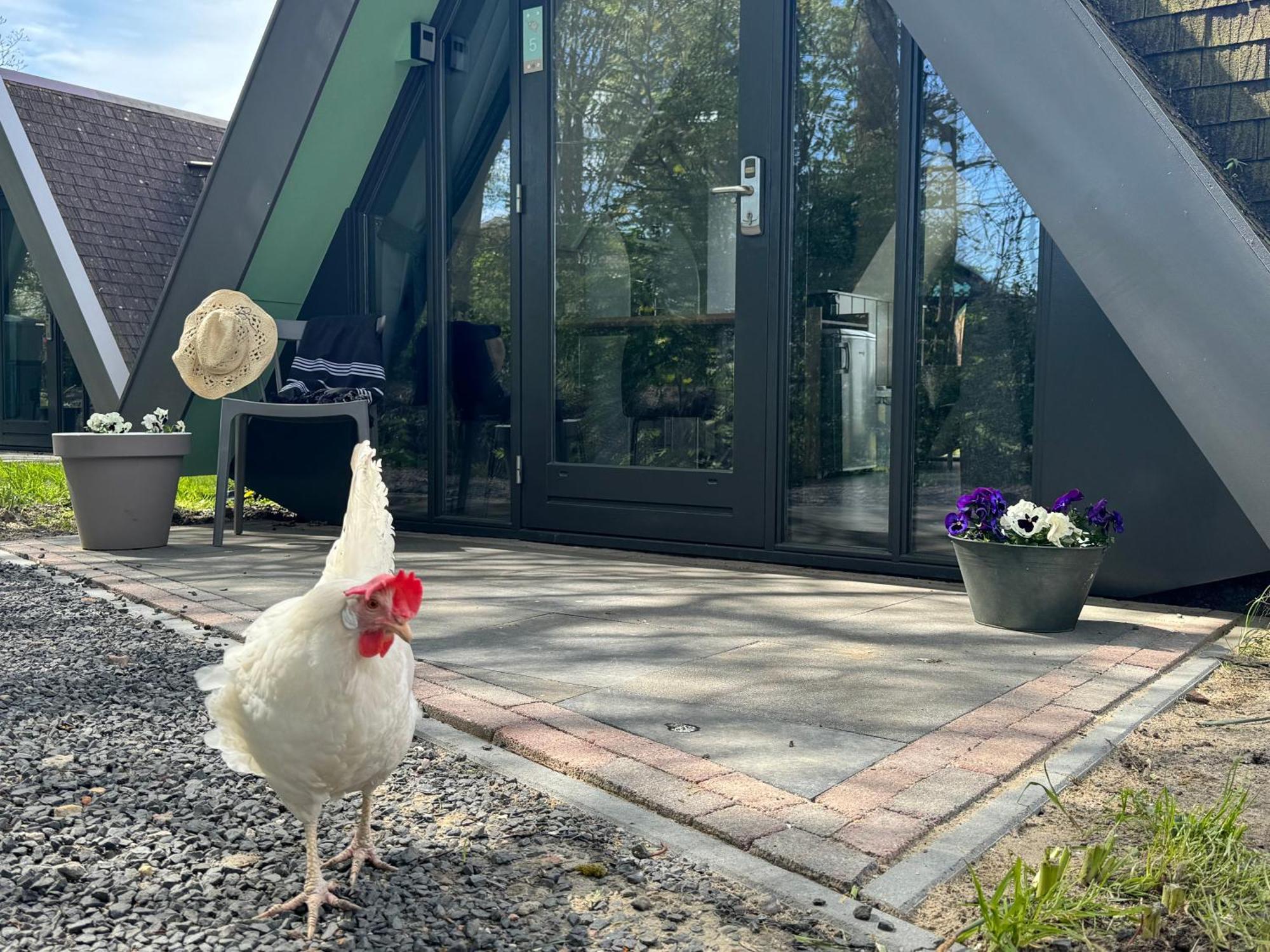 Hotelhuisjes Medemblik Wieringerwerf Luaran gambar
