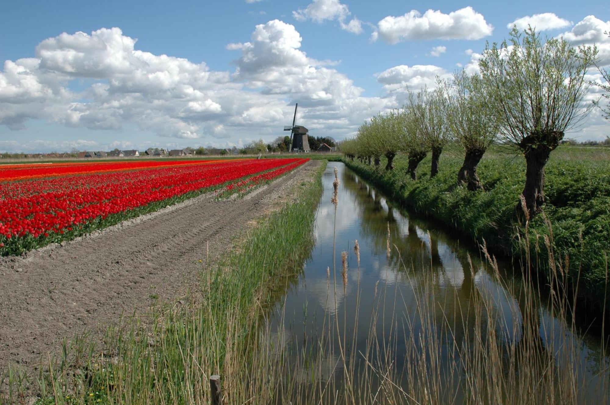 Hotelhuisjes Medemblik Wieringerwerf Luaran gambar