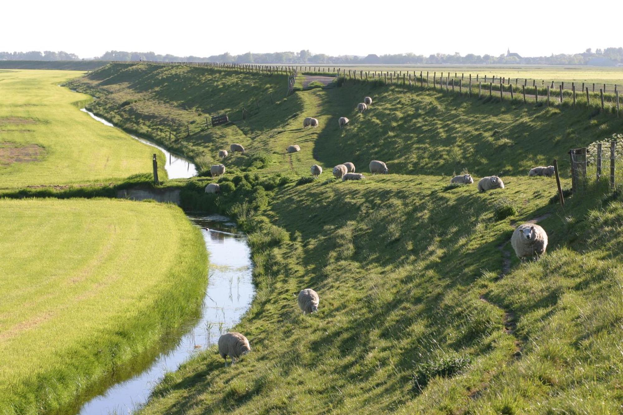 Hotelhuisjes Medemblik Wieringerwerf Luaran gambar