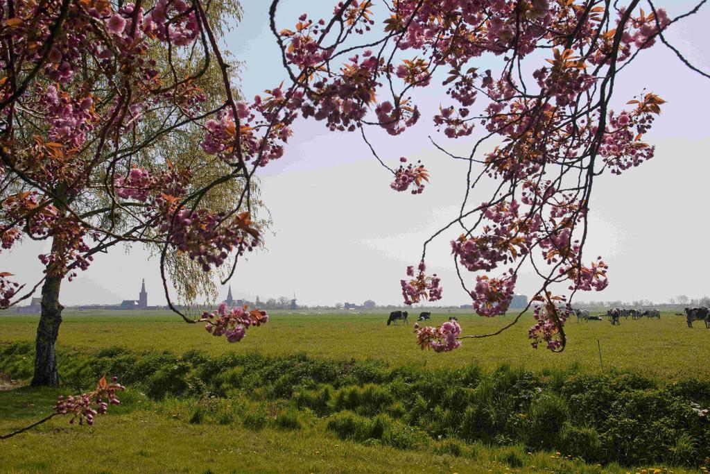 Hotelhuisjes Medemblik Wieringerwerf Luaran gambar